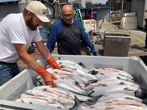 Epic Catch Brings Tons Of Fresh Fish To The Central Coast