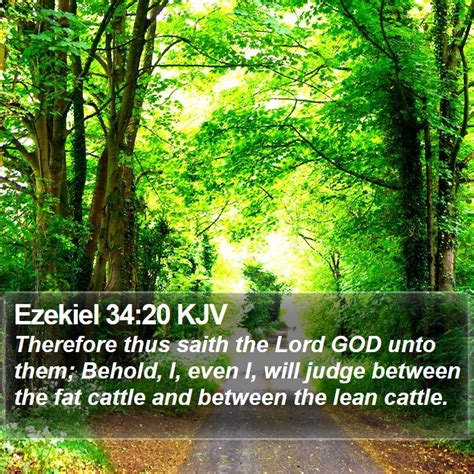 Ezekiel 3420 Kjv Therefore Thus Saith The Lord God Unto Them