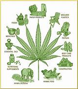 How Is Marijuana Made