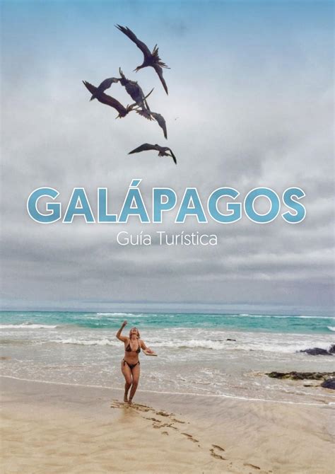 guía turística de galápagos isla isabela ecuador 2020 by turismoec issuu