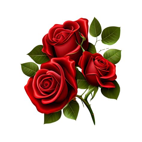 Red Rose Png Red Roses Clipart Red Rose Transparent Background AI Generative PNG