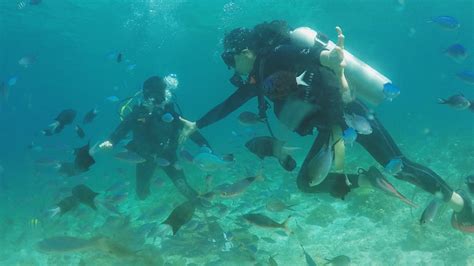 Cebu Diving Experience