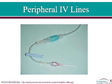 1 Peripheral And Midline Iv Lines