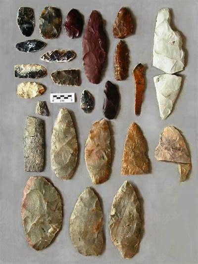 Fifteen Gravers From The Olive Branch Dalton Site Native American