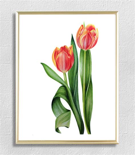 Tulip Flower Print Watercolour Painting Print Large Wall Etsy