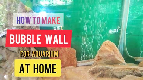 Bubble Wall For Aquarium Diy At Your Home Youtube