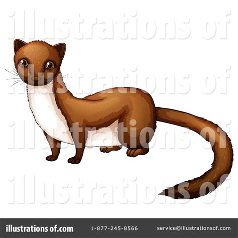 Clipart Weasel 10 Free Cliparts Download Images On Clipground 2024
