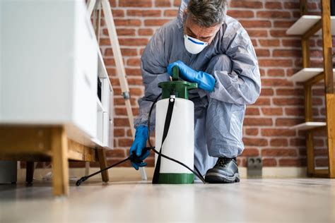 The Best Pest Control Companies Of December 2023 Picks By Bob Vila