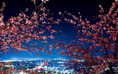 ❤ get the best cherry blossom wallpaper on wallpaperset. Japanese Anime City - Tokyo Japan At Night Hd - 1080x675 - Download HD Wallpaper - WallpaperTip