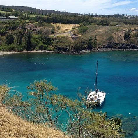 Honolua Bay Μάουι Χαβάη Κριτικές Tripadvisor