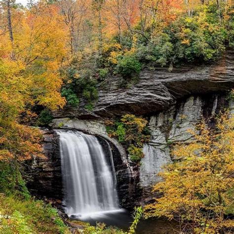 Fall Activities In Asheville Color Reports And Scenic Drives