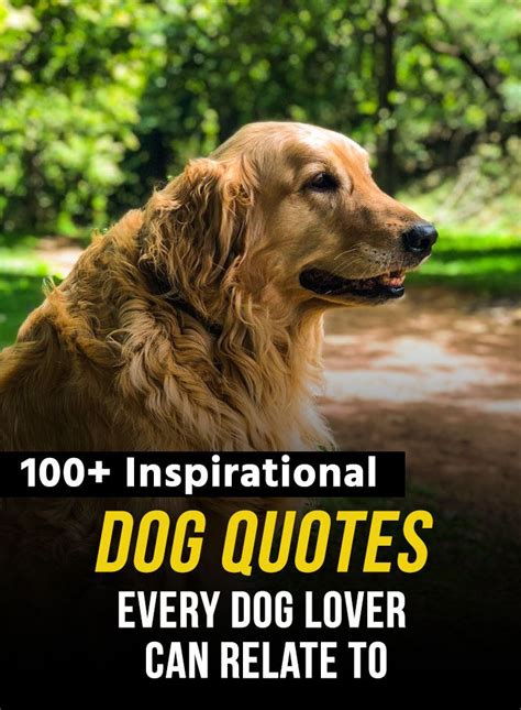 Cute Dog Quotes And Sayings For People Who Love Dogs Dog