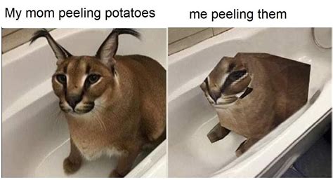 My Mom Peeling Potatoes Me Peeling Them Big Floppa Cat Memes Pop