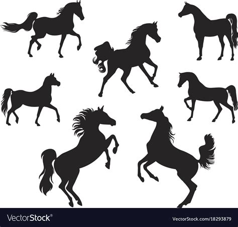 Silhouettes Of Arabian Horse Royalty Free Vector Image