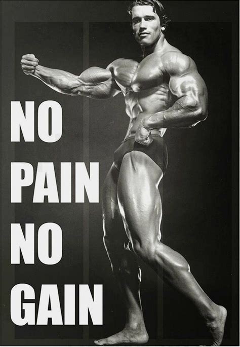 Arnold Schwarzenegger Gym Workout Motivational Poster Etsy