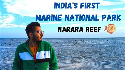 Indias First Marine National Park Gulf Of Kutch Gujarat Youtube