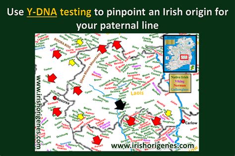 Irish Origenes Use Your Dna To Rediscover Your Irish Origin Irish