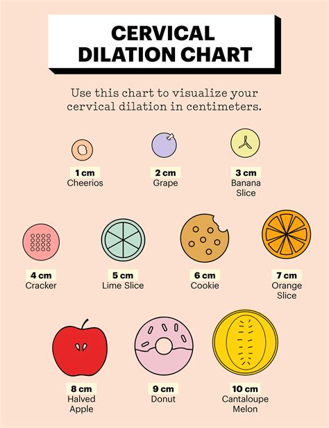 Cervix Dilation Chart The Stages Of Labor Explained In Pictures Parents