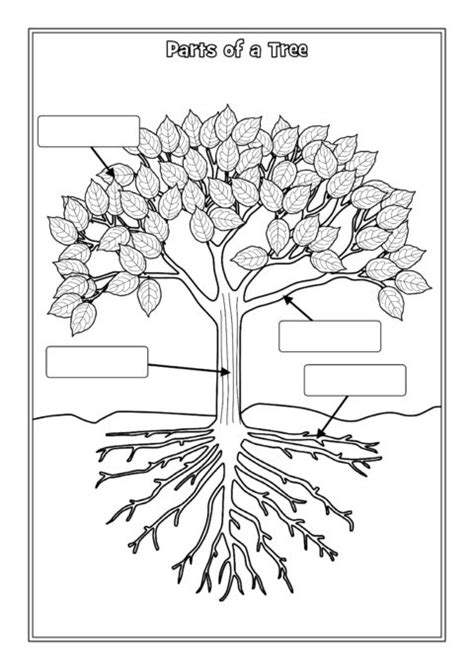 parts   tree labelling worksheets sb sparklebox