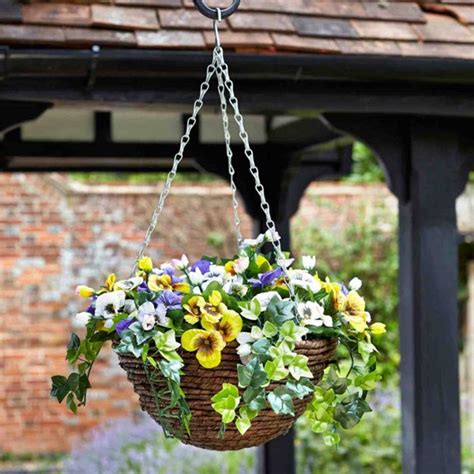 Best flowers for hanging baskets. 30Cm Easy Basket - Pansy - Hanging Baskets - Polhill ...