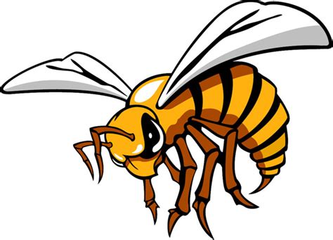 Hornet Clipart Free Download On Clipartmag