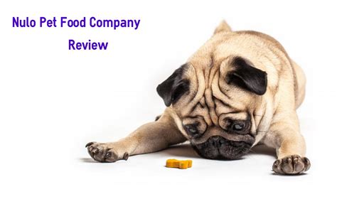 Whether your looking for social or corporate. Dog Food Reviews: Is Nulo a Good Pet Food Company?