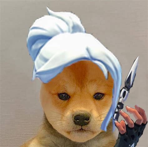 Dogwifhat Valorant Jett Dog Icon Cute Icons Dog Mode