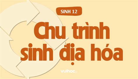 Sinh Học 12 Bài 44 Chu Trình Sinh Địa Hóa Và Sinh Quyển