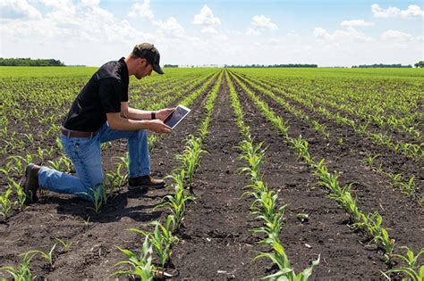 How Agri Businesses Are Embracing Digital Technology Must Read