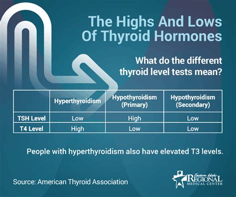 Hypothyroidism And Hyperthyroidism Understanding The Highs And Lows Of