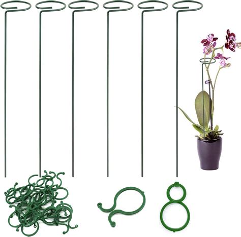 Jianglin Pack Plant Support Stakes Single Stem Plant Support Ring Plant Support Cages For