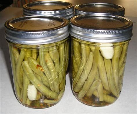 Delicious Dilly Beans Canning Recipe Plus Whats A Head Of Dill