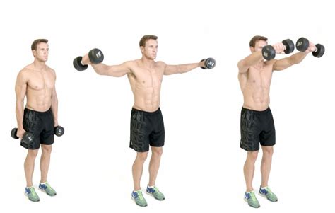 Dumbbell Lateral Raise Dumbbell Seated Rear Lateral Raise Fit