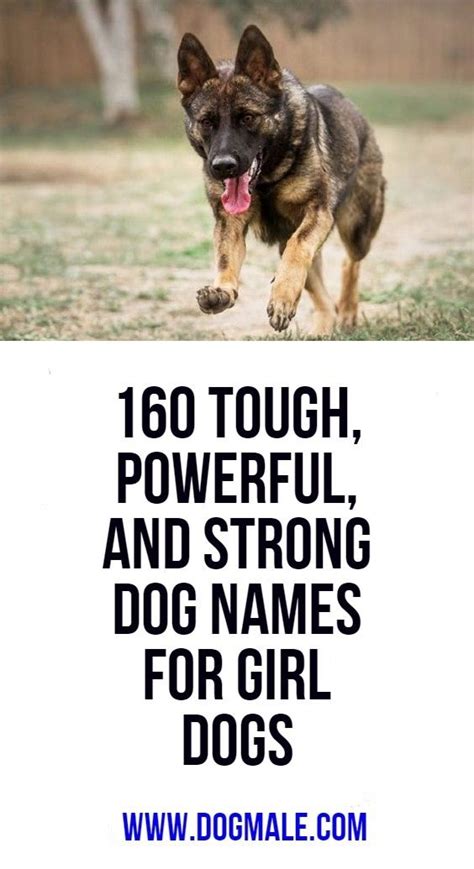 160 Tough Powerful And Strong Dog Names For Girl Dogs Girl Dog