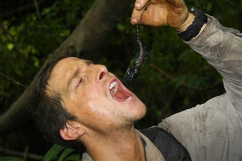 Here Are Living Things Bear Grylls Has Eaten If He Is In Town Hide Your Pets