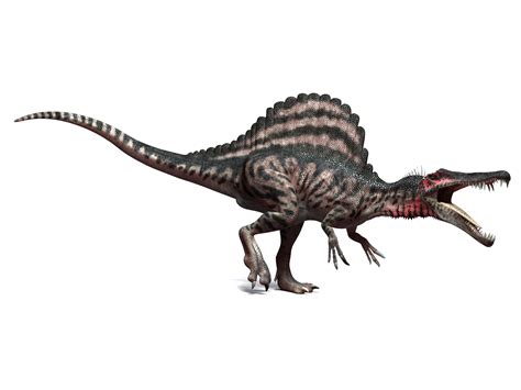 The Top 10 Famous Dinosaurs That Roamed The Earth