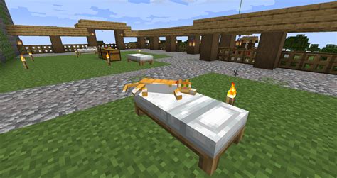 Did You Know That Cats Will Lay In Beds Like This Minecraft