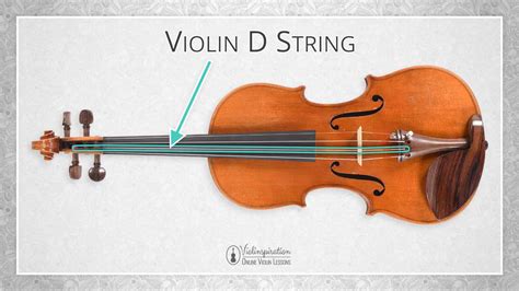 All Violin Notes On The D String With Easy Pdf Charts Violinspiration