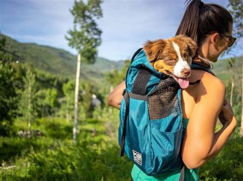 Top 34 Best Dog Backpack For Hiking 2022 My Trail Co