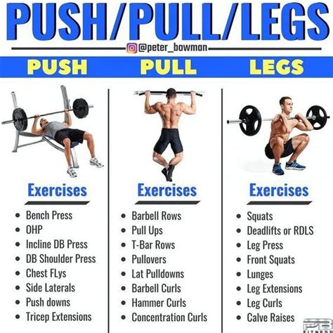 Best Pull Exercises Gym