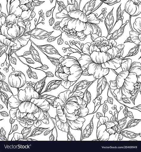 Peony Flower Seamless Pattern Drawing Hand Vector Image