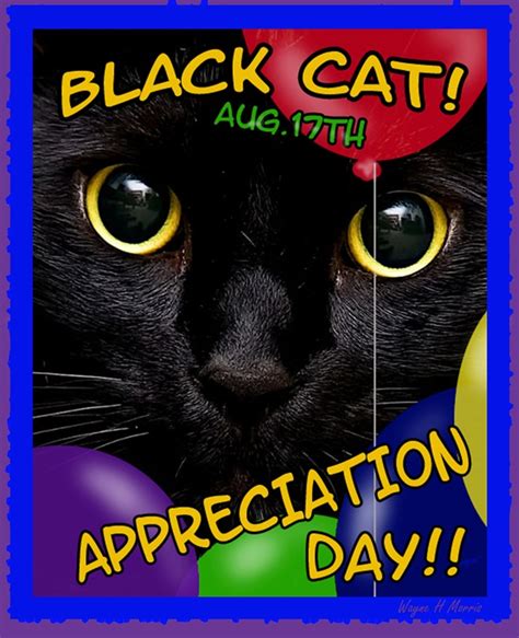 Additionally, the day shouldn't be confused with national black cat day. Black Cat Appreciation « Adopt A LAPCAT