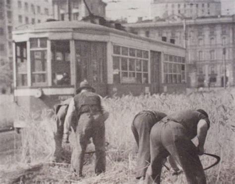 Il problema del grano è il problema di tutta l'agricoltura. Il grano a Milano durante la guerra - Corriere.it
