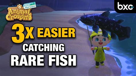 Originally released in spring of 2001 for the nintendo 64 while pavé definitely looks flamboyant and feminine, that is actually how real life male peacocks, which while male calico and tortoiseshell cats do exist in real life, they are extremily rare. How to catch Rare Fish easy | How to increase your Fishing ...