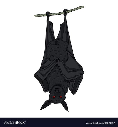 Cartoon Black Bat Hanging Upside Down Royalty Free Vector