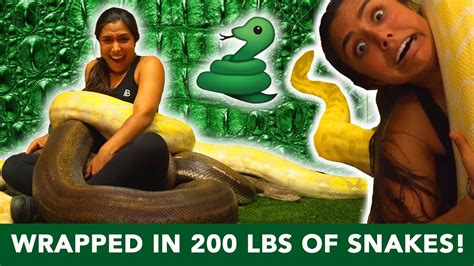 I Wrapped My Entire Body In Pounds Of Snakes Insane Youtube