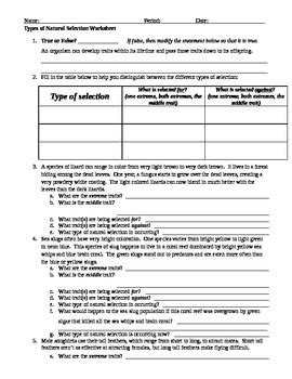 Darwins natural selection worksheet answers. Types of Natural Selection Worksheet by Briana Ransom TpT ...