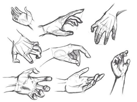 Hand Reference Drawing High Quality Drawing Skill