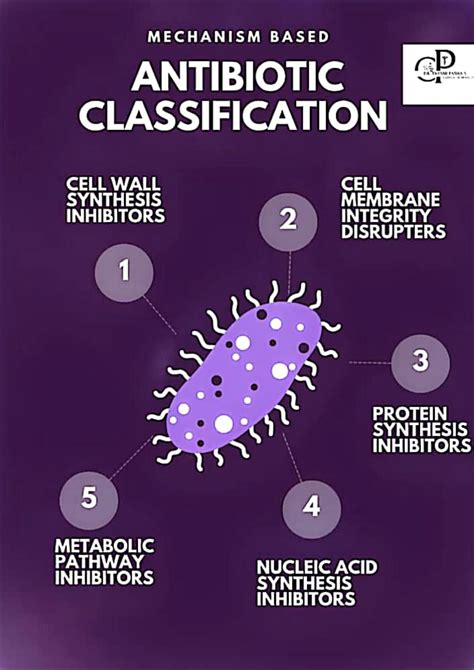 SOLUTION Antibiotics Classification Studypool