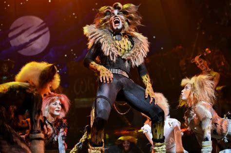 The recording won best cast show album at the 26th annual grammy awards. Hit musical 'Cats' returns to NY after 16-year hiatus | Daily Mail Online